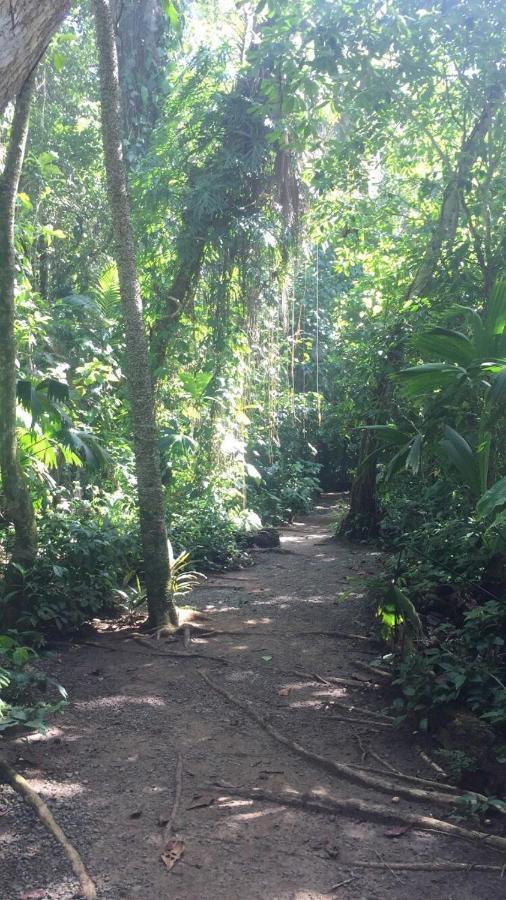 Hotel Cahuita Ngoại thất bức ảnh
