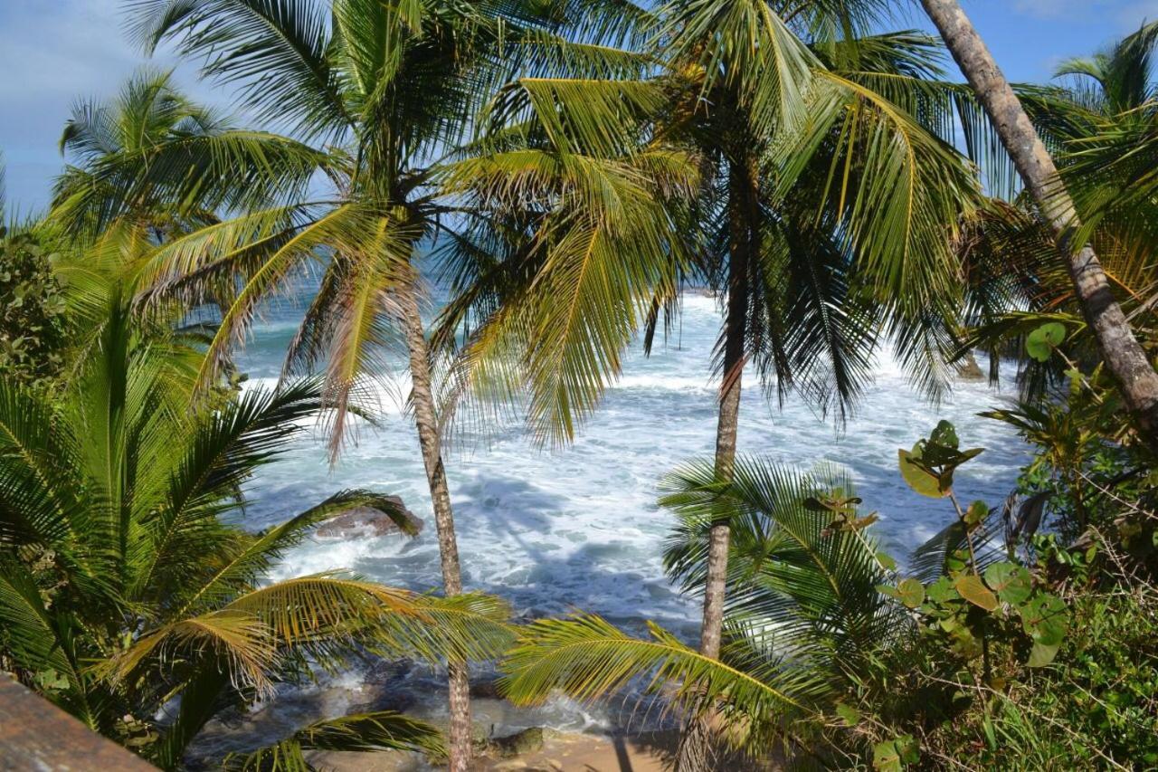 Hotel Cahuita Ngoại thất bức ảnh